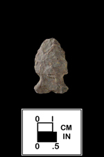 Thumbnail image of a Brewerton side notched from 18BA153-1 Evergreen Site - click on image to see larger view.